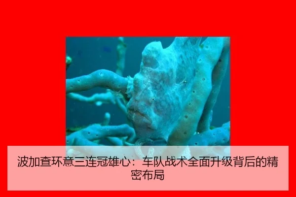 bo-jia-cha-huan-yi-san-lian-guan-xiong-xin-che-dui-zhan-shu-quan-mian-sheng-ji-bei-hou-de-jing-mi-bu-ju-3-176.jpg
