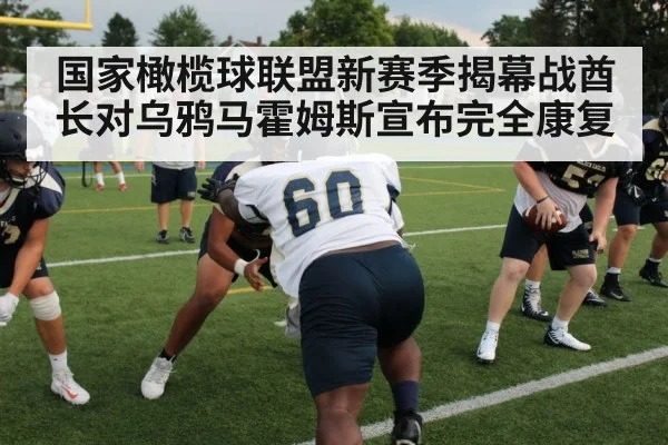 NFL football defensive line