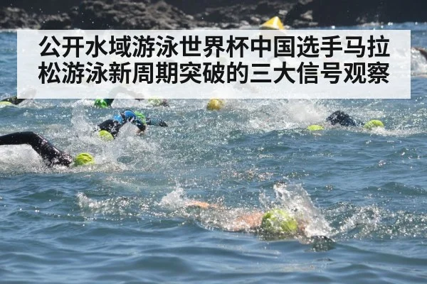 公开水域游泳世界杯中国选手马拉松游泳新周期突破的三大信号观察